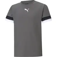 Puma Teamrise Trikot Kurzarm Kinder - Grau