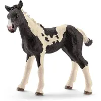 Schleich FARM WORLD Pinto Fohlen, 3 Jahr(e), Schwarz, Weiß, 1 Stück(e)