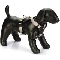 Beeztees Parinca Premium Y-Geschirr - Hundegeschirr - Nylon - hellgrau -