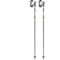 LEKI Herren Alpin-Skistock Neolite