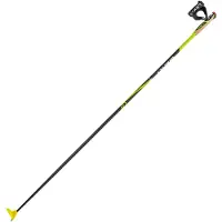 LEKI Cc 450 Stöcke