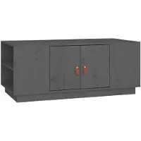 vidaXL Couchtisch Grau 100x50x41 cm Massivholz Kiefer