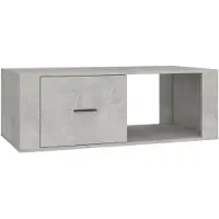 The Living Store Couchtisch Betongrau 100x50,5x35 cm Holzwerkstoff