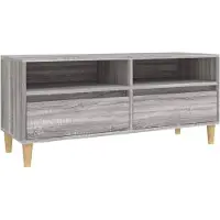 The Living Store TV-Schrank Grau Sonoma 100x34,5x44,5 cm Holzwerkstoff