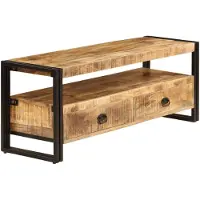 The Living Store TV-Schrank 120 x 35 x 45 cm Mangoholz Massiv