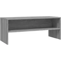 The Living Store TV-Schrank Grau Sonoma 100x40x40 cm Holzwerkstoff
