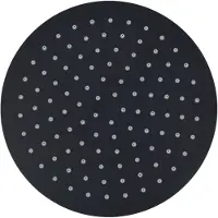 The Living Store Regenbrause Edelstahl 25 cm Rund Schwarz