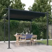 The Living Store Pavillon mit Ausziehbarem Dach 3x3 m Anthrazit