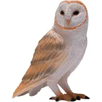 Mojo Fun Barn Owl, 3 Jahr(e), Wildlife, Braun, Weiß, Polyvinylchlorid (PVC)