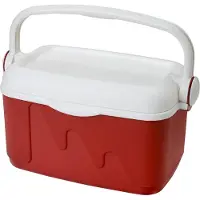 Curver 175772 Steife Tragbare Kühlbox
