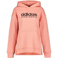 Adidas All Szn Fleece Graphic Kapuzenpullover