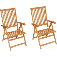 The Living Store Gartenstühle 2 Stk. mit Grauen Kissen Massivholz Teak