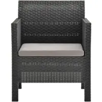 The Living Store Gartenstuhl mit Kissen PP Rattan Anthrazit
