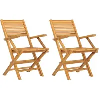 The Living Store Gartenstühle 2 Stk. Klappbar 55x62x90 cm Massivholz Teak
