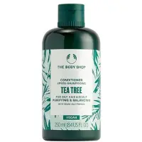 The Body Shop Conditioner