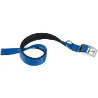 Ferplast Nylon Daytona C 25 Mm 45 Cm Hundehalsband