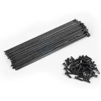Eclat Pg Speichen Und Nippel Kit 40 Einheiten