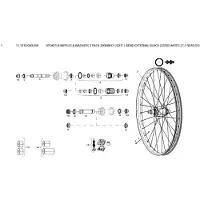 Zipp D-light J-bend External Speiche 3 Einheiten