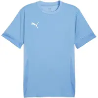 Puma Trikot Teamgoal Matchday