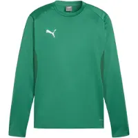 Puma Teamgoal Trainingssweat Herren - Grün