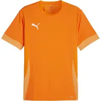 Puma teamGOAL Matchday Jersey Fußballtrikot