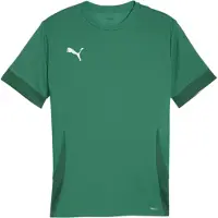 Puma Teamgoal Matchday Trikot Kurzarm Herren - Grün