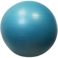 Sporti France Gym Fitball 65 Cm