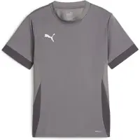 Puma Teamgoal Matchday Jersey jr cast iron-white-shadow gray (13) 164