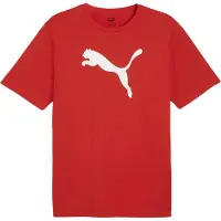 Puma Herren Teamrise Logo Jersey Baumwolle T-Shirts, Red-White, L EU