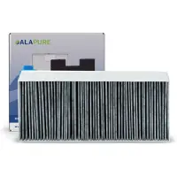 Alapure CleanAir Aktivkohlefilter geeignet für Gaggenau 11018621 / AA210110 / 11010506