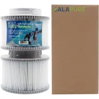 Alapure Whirlpool-Filter passend für MSpa 2er-Pack | 2010-2019