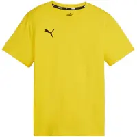 Puma Teamgoal Casuals Tee Jr faster yellow-black (07) 116