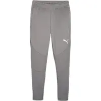 Puma Team Final Trainingshose Herren - Grau