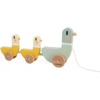 Janod Enten Ziehen