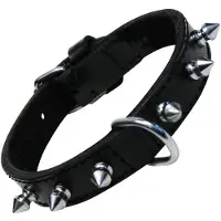 Gloria Skewers 2 Rows Hundehalsband