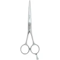 Joewell Classic Pro 600 - Haarschere 6,0 Zoll - 0014