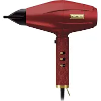 BaByliss Fxbdr1e Haartrockner