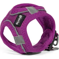 Gloria Trek Star Hundegeschirr 27-28 cm 31-34,6 cm Violett XS