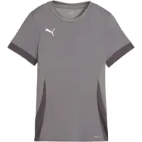 Puma Teamgoal Trikot Kurzarm Damen - Grau