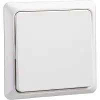 Schneider Electric 241604, Tasten, Weiß, Thermoplast, IP20, WEEE, REACh-SVHC, 80 mm