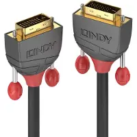 Lindy Dual Link 10 M Dvi-kabel