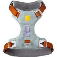 Woolly Wolf Alpha 360 Geschirr - Glacier Green Mix - XL