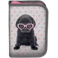 Sonstiges PASO Mäppchen Federmappe Federtasche Federmäppchen mit Hund JUGENDLICHE KINDER SCHULE SCHULSACHEN WELPE MIT SONNENBRILLEN