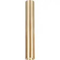 Eko-Light Genesis Spot Gold 1Xgu10 40Cm