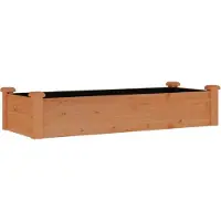 vidaXL Hochbeet mit Einsatz Braun 120x45x25 cm Massivholz Tanne