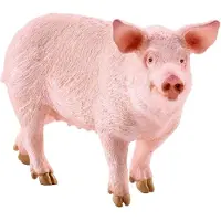Schleich Farm World Pig Świnia Maciora 10cm
