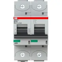 ABB S802PV-SP20 Strangsicherung für Photovoltaikanlagen 800 V DC, 20A, 2-polig 2CCF019600R0001