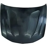 Diederichs Motorhaube 1276000 für BMW