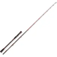 Akami Denia Jiggingrute