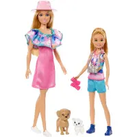 Barbie HRM09, Modepuppe, Weiblich, 3 Jahr(e), Junge/Mädchen, 298 mm, 420 g